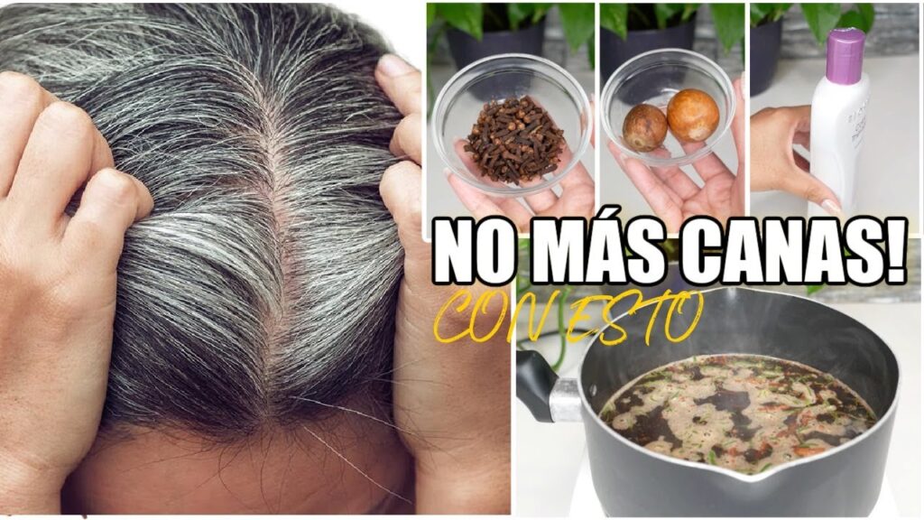 Descubre el champú rejuvenecedor para cabello gris: ¡Champú a Toda Cana!