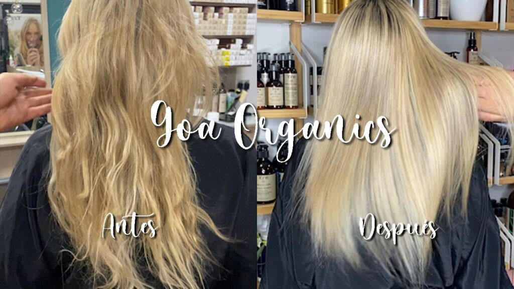 Descubre la mejor forma de cuidar tu cabello al comprar champú Goa Organic