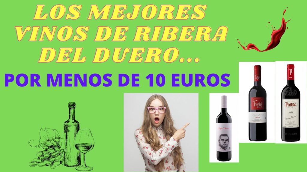 Descubre los mejores Ribera del Duero por menos de 15€