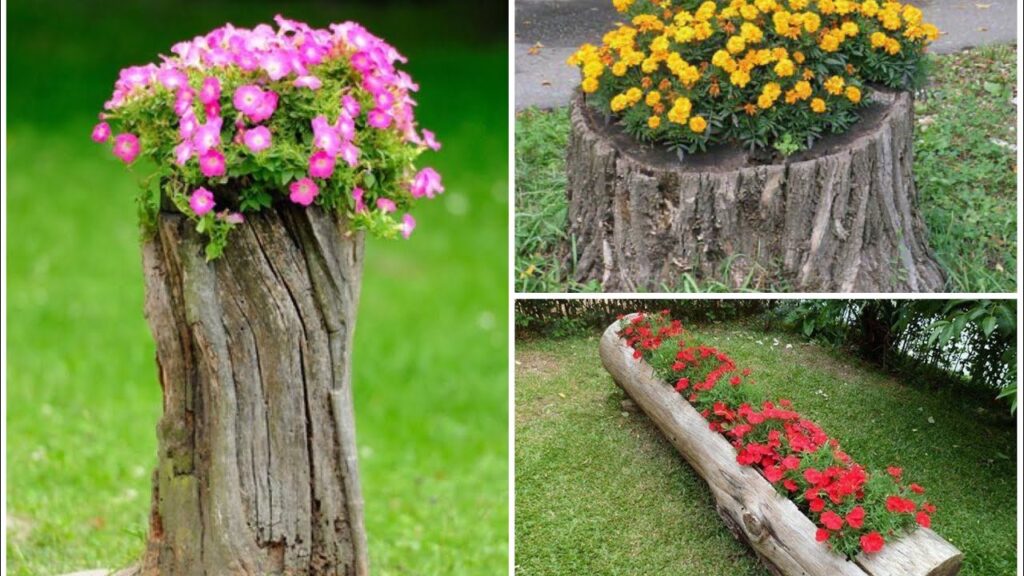 10 ideas creativas para decorar troncos de árbol: ¡transforma la naturaleza en arte!